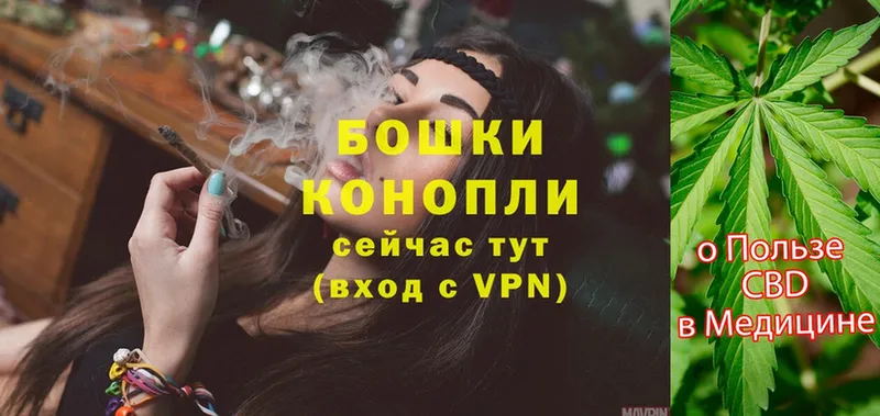 Бошки марихуана Ganja  Лесозаводск 